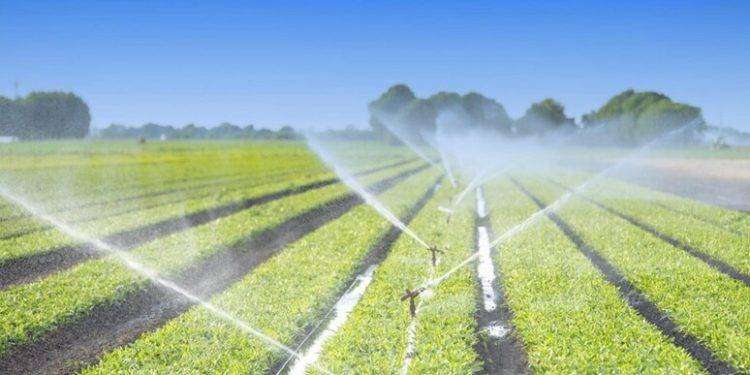 Aumentano le superfici irrigue nella piana di Chilivani