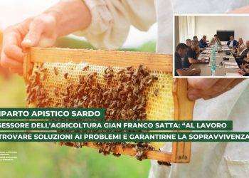 Agricoltura, Assessore Satta: “Al lavoro per trovare soluzioni ai problemi e garantirne la sopravvivenza del comparto apistico”