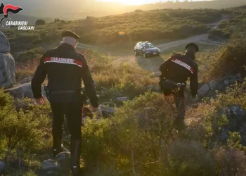 Piantagioni di marijuana scovate grazie a foto, un arresto
