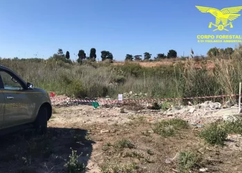 A Molentargius cani senza guinzaglio e rifiuti, multe e denunce