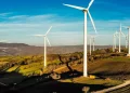 A Saccargia il no della Sardegna alla speculazione energetica