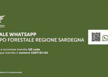 Attivo il canale WhatsApp del Corpo forestale e di vigilanza ambientale