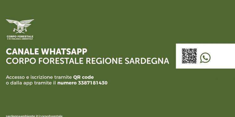 Attivo il canale WhatsApp del Corpo forestale e di vigilanza ambientale