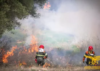 Appiccò incendi nell’Oristanese tra il 2019 e il ’23, arrestato
