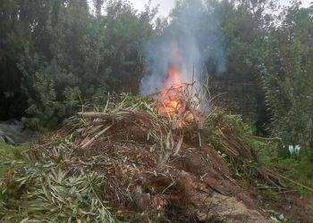 “Medio” il pericolo di incendio per sabato 29 giugno 2024 a Cagliari