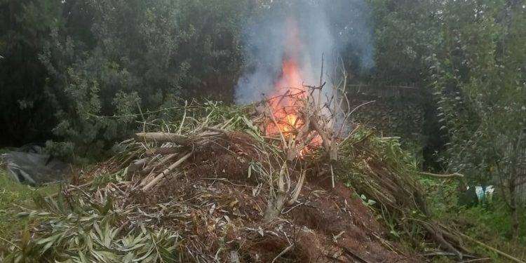 “Medio” il pericolo di incendio per sabato 29 giugno 2024 a Cagliari