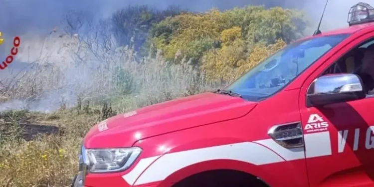 Incendi: un ddl e più risorse per la lotta al fuoco nel 2024