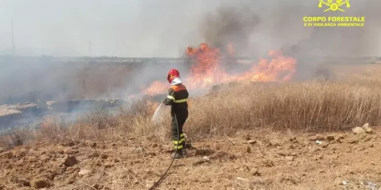 Appiccò rogo devastante nell’Oristanese, condannato a 4 anni