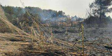 Fiamme a Quartucciu, intervento di due elicotteri e dei volontari