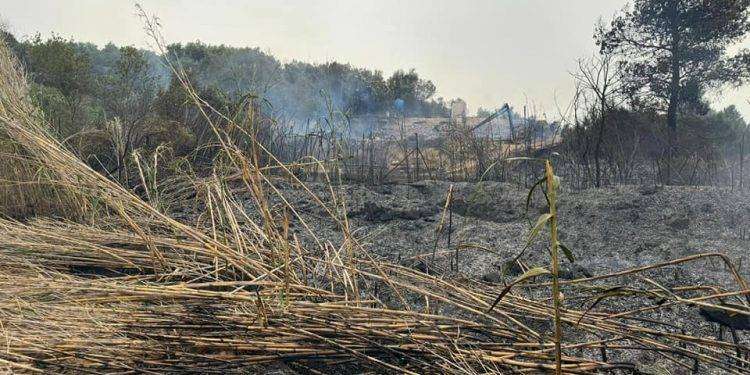 Fiamme a Quartucciu, intervento di due elicotteri e dei volontari