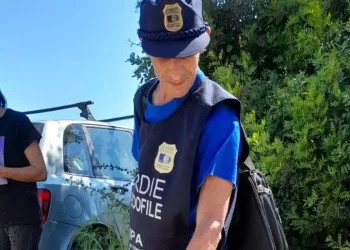 Pointer denutrita e abbandonata, denunciato il proprietario