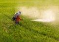 Le vendite dei pesticidi nell’Ue sono calate del 10% nel 2022