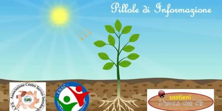 Cultura, a Roma l’iniziativa dell’Enac