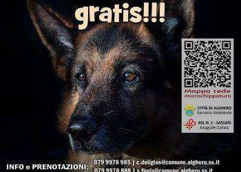Microchippatura gratuita ad Alghero, appuntamento il 18 giugno