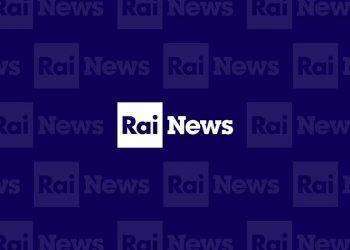 Cdr Rainews24: «Grave non aver dato copertura all’inchiesta di Fanpage sul movimento giovanile di FdI»