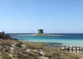 Turismo, presenze in crescita negli hotel del nord Sardegna