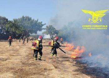 Caldo e fiamme: 16 incendi in Sardegna nelle ultime ore