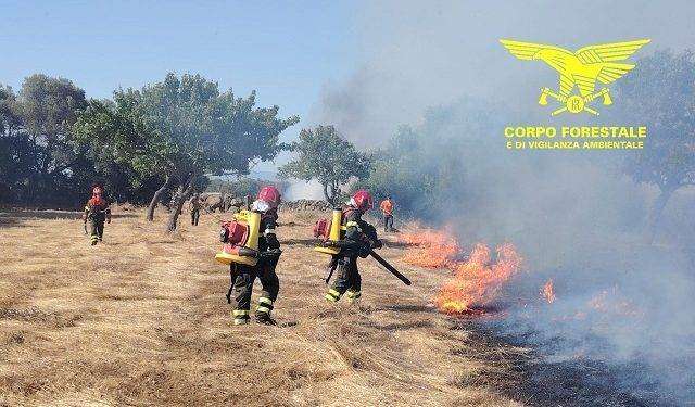 Caldo e fiamme: 16 incendi in Sardegna nelle ultime ore