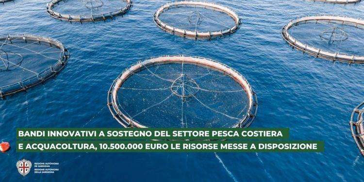 Agricoltura: bandi innovativi a sostegno del settore pesca costiera e acquacoltura, 10.500.000 euro le risorse messe a disposizione