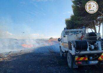 Fiamme vicino a Molentargius: salvata la zona umida del Parco Naturale