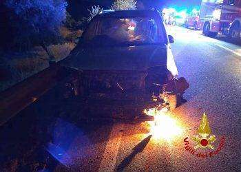 Orani: urta un gregge, scende dalla macchina e viene travolto da un’auto pirata