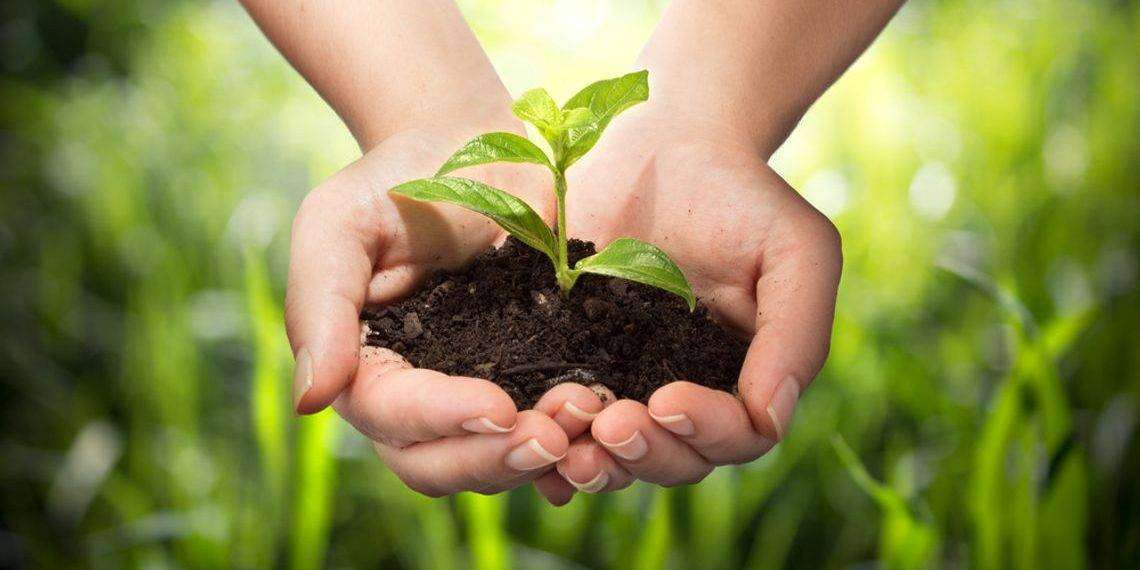 Sardegna, aperti termini domande pagamento per adottare e mantenere pratiche di produzione biologica
