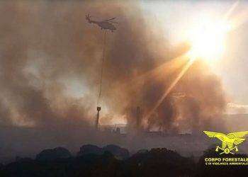 Parco Nazionale Arcipelago di La Maddalena, Corpo Forestale arresta piromane