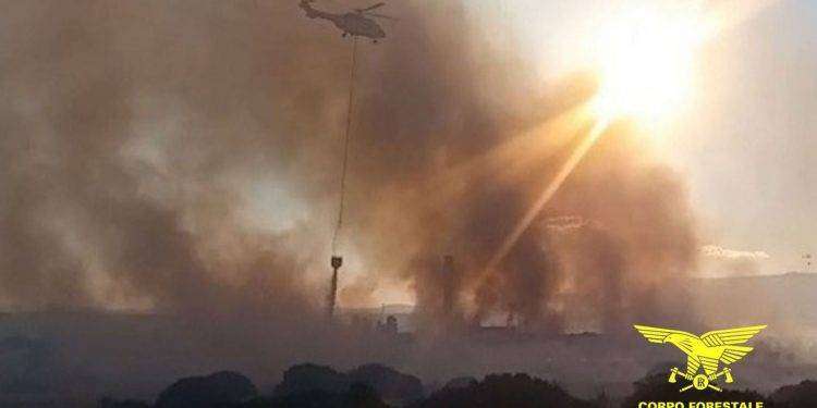 Parco Nazionale Arcipelago di La Maddalena, Corpo Forestale arresta piromane