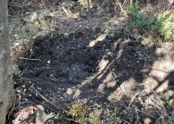 Donna uccisa, tracce di sangue a bordo dell’auto