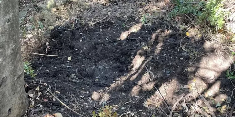 Donna uccisa, tracce di sangue a bordo dell’auto