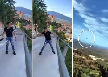 Gattino gettato dal ponte, petizione supera le 100mila firme