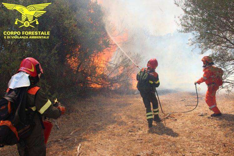 19 incendi in Sardegna nelle ultime ore: in azione gli elicotteri del Corpo Forestale