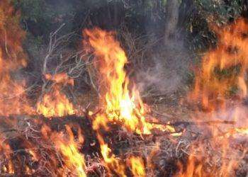 Cagliari, resta “Alto” il pericolo di incendio per la giornata di lunedì 22 luglio 2024
