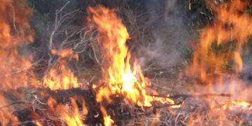 Cagliari, resta “Alto” il pericolo di incendio per la giornata di lunedì 22 luglio 2024