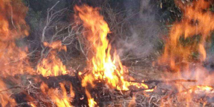 Cagliari, resta “Alto” il pericolo di incendio per la giornata di lunedì 22 luglio 2024