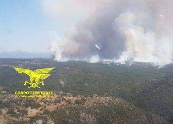 Fiamme in tutta la Sardegna, in azione elicotteri e canadair