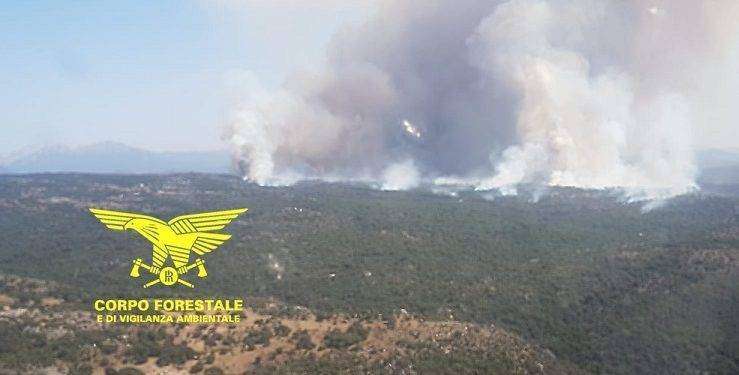 Fiamme in tutta la Sardegna, in azione elicotteri e canadair