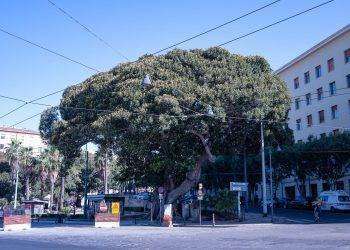 Cagliari, rimosse le transenne in Piazza Ingrao
