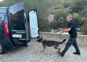 Ris confermano, sono di Francesca i resti del corpo nel borsone