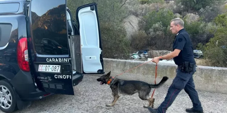 Ris confermano, sono di Francesca i resti del corpo nel borsone