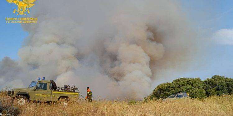 Fiamme nell’isola, 13 incendi nelle ultime ventiquattro ore