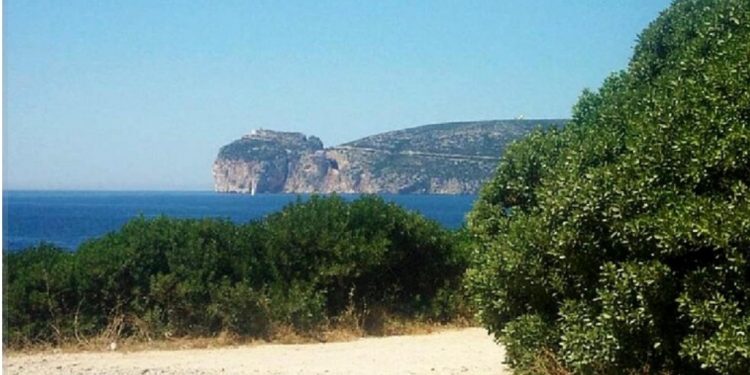 Eolico off-shore ad Alghero, Grig ‘a rischio l’ambiente’