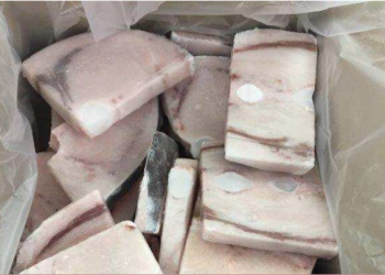Ministero della Salute richiama tranci di pesce spada congelati