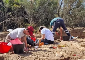 Archeologia, 108 tombe scoperte in necropoli oasi Torre Guaceto