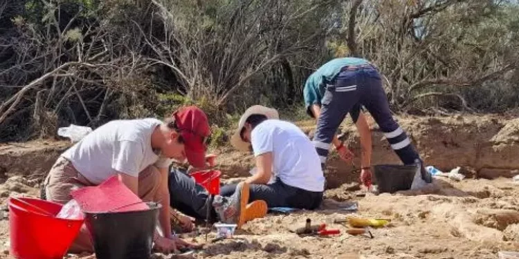 Archeologia, 108 tombe scoperte in necropoli oasi Torre Guaceto