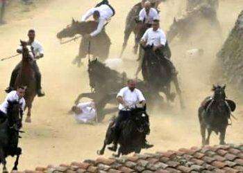 Oristano, due cavalli morti all’Ardia di Sedilo: Oipa chiede accesso agli atti