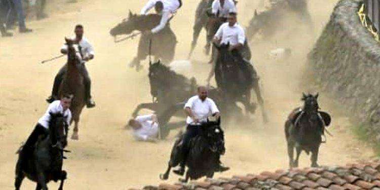 Oristano, due cavalli morti all’Ardia di Sedilo: Oipa chiede accesso agli atti