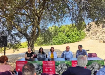 Parte il primo servizio di trasporto per i siti di Barumini