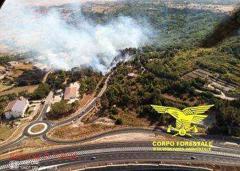 Le fiamme divorano la Sardegna, 20 incendi nella giornata di oggi