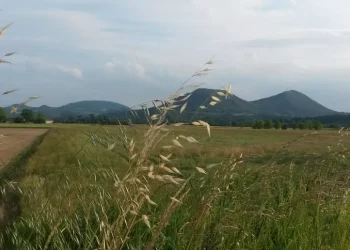 I Colli Euganei conquistano l’Unesco